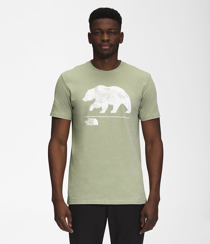 The North Face Mens T-Shirts Bearscape Short Sleeve 315GYIWKD - Green